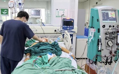 Cảnh báo nhiều ca suy gan, suy thận nặng vì nhiễm xoắn khuẩn sau mưa lũ