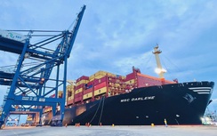 Sửa đổi cách xác định tuổi tàu biển: Tạo thuận lợi cho doanh nghiệp