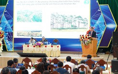 Quảng Ngãi ứng dụng các giải pháp chuyển đổi số để phát triển du lịch