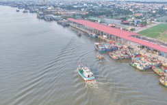 Ninh Bình: Khai thác hiệu quả hạ tầng cảng cá, phát triển kinh tế biển nhờ công nghệ