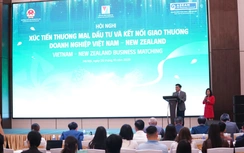 Doanh nghiệp Việt Nam - New Zealand xúc tiến cơ hội đầu tư, kinh doanh