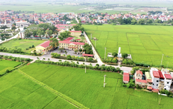 Đại biểu Quốc hội ấn tượng trước nỗ lực hoàn thành xây dựng nông thôn mới của Hà Nội