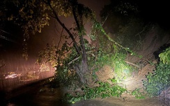 Kịp thời giải phóng sạt lở đường đèo Ngoạn Mục, thông xe quốc lộ 27