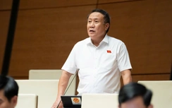 ĐBQH đề nghị rà soát yêu cầu nộp sổ đỏ photo, tránh gây phiền hà cho người dân