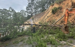 Lâm Đồng: Cấm xe qua đèo D'ran vì sạt lở, phương tiện lưu thông ra sao?