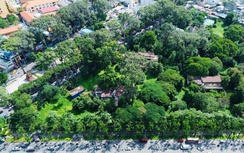 Đơn vị nào tài trợ xây công viên và khu tưởng niệm nạn nhân Covid-19 tại khu đất vàng?