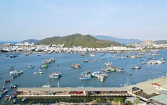 Đưa vận tải đường thủy trở thành một trụ cột quan trọng của hệ thống giao thông