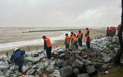 Hà Tĩnh: 7 công trình đê điều, thủy lợi cấp bách hư hỏng sau mưa bão cần được sửa chữa