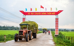 ĐBQH: Phân vùng phù hợp để tạo động lực cho địa phương xây dựng nông thôn mới