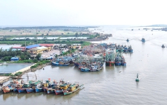 Ninh Bình: Siết chặt quản lý, không để tàu cá vi phạm khai thác IUU