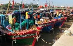 Các tỉnh, thành chủ động ứng phó bão số 11