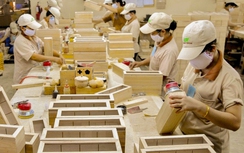 Tăng tốc xuất khẩu, kỳ vọng cán mốc lịch sử
