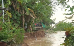 An Giang sạt lở dài 150m chia cắt tuyến đường giao thông nông thôn tại xã Mỹ Hòa Hưng