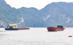 Đề xuất cắt giảm thủ tục cấp phép phương tiện thủy: Doanh nghiệp hưởng lợi lớn