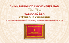 Tập đoàn BRG được trao tặng Cờ Thi đua Chính phủ