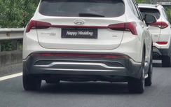 Nghiên cứu tăng mức phạt hành vi che biển số xe, né camera giao thông