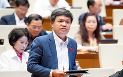 Đại biểu Quốc hội đánh giá cao Luật Hàng không dân dụng Việt Nam (sửa đổi)