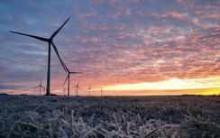 Băn khoăn việc giảm mạnh điện gió, ưu tiên điện than, đơn vị điều hành nói gì?