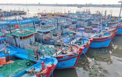 Ninh Bình: Tăng cường quản lý đăng ký, đăng kiểm tàu cá minh bạch, đúng quy định