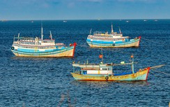 Ứng dụng công nghệ trong giám sát, quản lý tàu thuyền