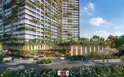 Onsen Fuji đăng ký khởi công đồng loạt ba dự án lớn