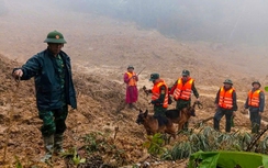 Tạm dừng tìm kiếm 3 nạn nhân vụ sạt lở núi ở TP Đà Nẵng do mưa lớn và sương mù