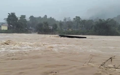 Quảng Trị: Di dời 364 hộ dân đến nơi an toàn, tài xế ô tô vượt cầu tràn vẫn mất tích