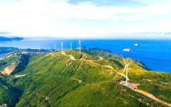 Dự án điện gió hơn 48.000 tỷ đồng ở Gia Lai có quy mô thế nào?