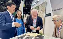 Vật liệu xây dựng Việt chinh phục thị trường “ngoại”