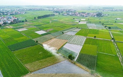 Phú Thọ: Sản phẩm OCOP - chìa khóa xây dựng nông thôn mới