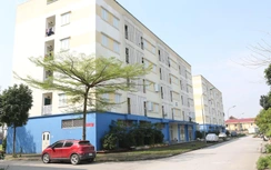 Thành lập Quỹ nhà ở quốc gia, chỉ cho thuê, không bán