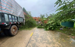 Quảng Ngãi: Sạt lở núi vùi nhà dân trên đường Đông Trường Sơn, giao thông tắc nghẽn