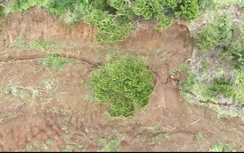 Lâm Đồng: Phát hiện vết nứt 300m trên đồi Ba Lá Xanh, di dời khẩn cấp hàng chục hộ dân