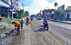 Nâng cấp quốc lộ 1 qua Cà Mau sau ảnh hưởng thiên tai