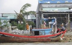 Ốc đảo Cồn Chim ở Gia Lai gượng dậy sau bão lũ