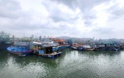 Gia Lai kêu gọi hơn 5.400 tàu thuyền khẩn trương vào bờ tránh bão số 15