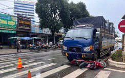 Gia Lai: Bị ô tô tải tông trúng, hai ông cháu tử vong tại chỗ 