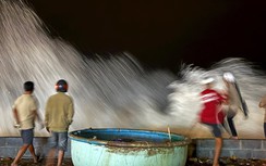 Lâm Đồng di dời hộ kinh doanh vì sóng lớn, Khánh Hòa kêu gọi tàu thuyền vào trú tránh