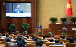 Xem xét bổ sung định danh người bán hàng trong nước qua VNeID