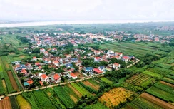 Hà Nội: Xã đảo Minh Châu phát triển mô hình nông nghiệp xanh, gắn với du lịch trải nghiệm