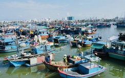 Bão Kalmaegi áp sát Biển Đông, Đà Nẵng - Khánh Hòa khẩn trương phòng chống