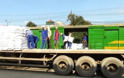 Đường sắt được lợi gì khi kết nối đồng bộ với các phương thức vận tải khác?