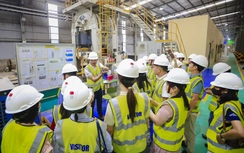 Vật liệu xanh “lép vế” vì giá thành và thói quen tiêu dùng