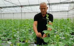 Hưng Yên: Đa dạng sản phẩm OCOP tạo cơ hội bứt phá phát triển nông thôn mới