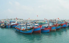 Hải Phòng: Kiên quyết ngăn chặn, không để tàu cá vi phạm khai thác IUU