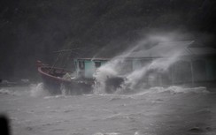 Tăng cường quản lý cấp phép tàu thuyền ra khơi, chủ động ứng phó bão số 13