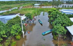 Cà Mau: Người dân khu tái định cư vất vả lưu thông vì nước ngập bủa vây gần nửa tháng