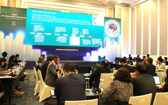 Đô thị an toàn và thích ứng biến đổi khí hậu hướng tới tăng trưởng xanh, bền vững