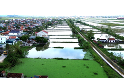 Nghệ An: Sẽ hoàn thành bàn giao đất tái định cư dự án đường sắt tốc độ cao tháng 6/2026