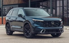 Xe xăng nhập khẩu áp đảo xe lắp ráp trong nước